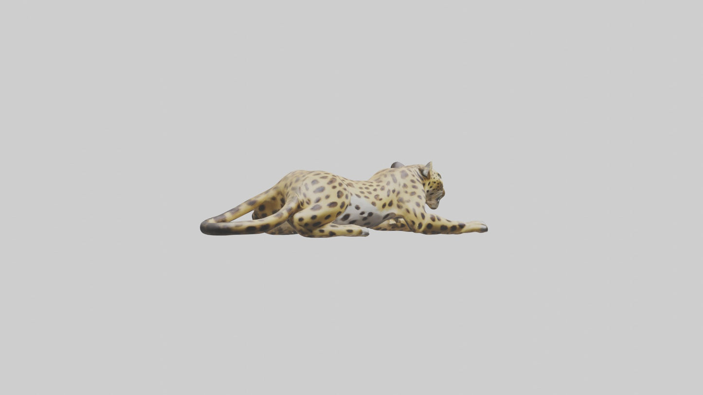 3D model Lying Leopard Model 1 VR / AR / low-poly
