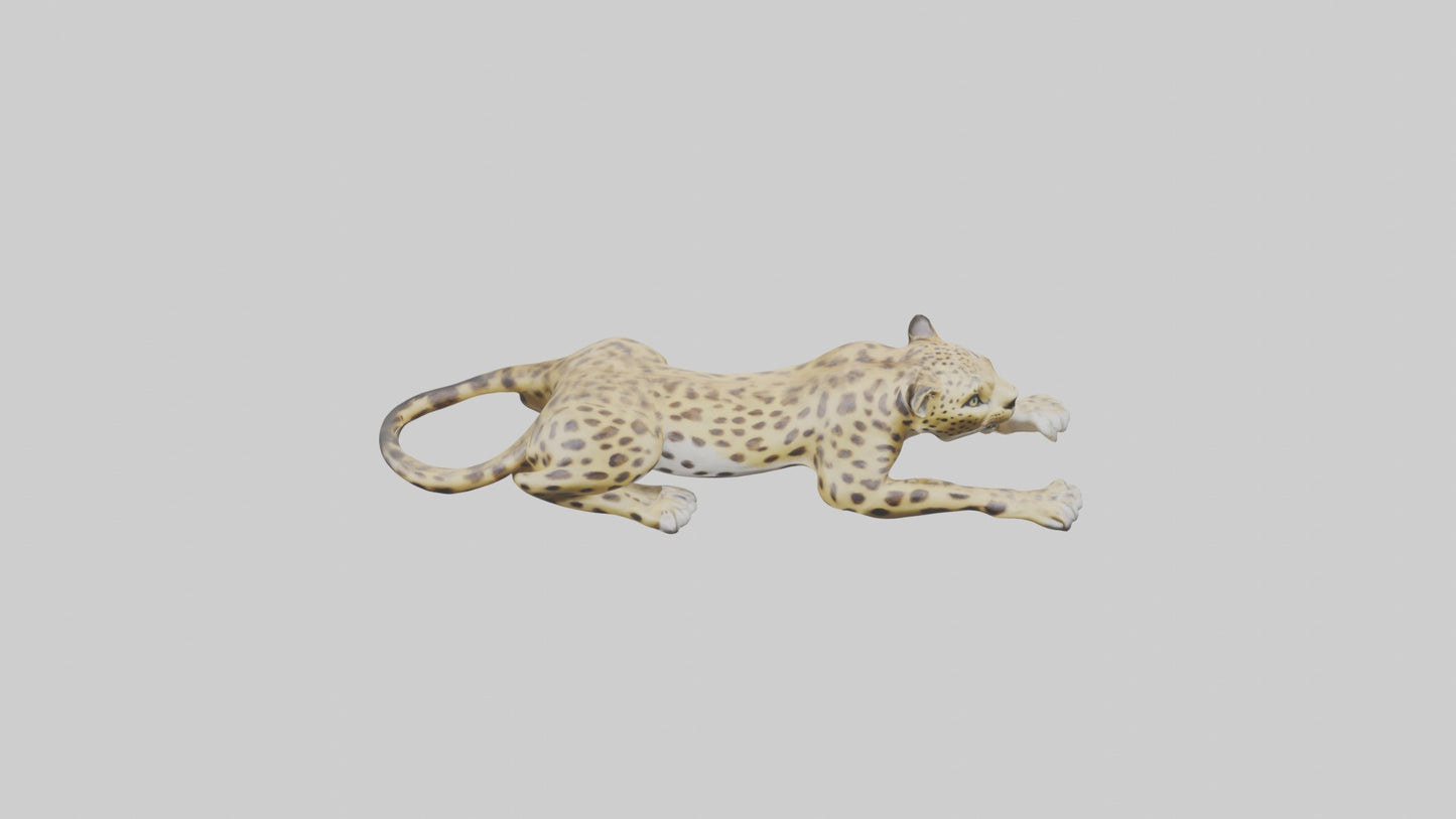 3D model Lying Leopard Model 1 VR / AR / low-poly