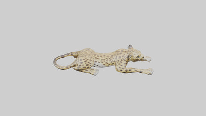 3D model Lying Leopard Model 1 VR / AR / low-poly