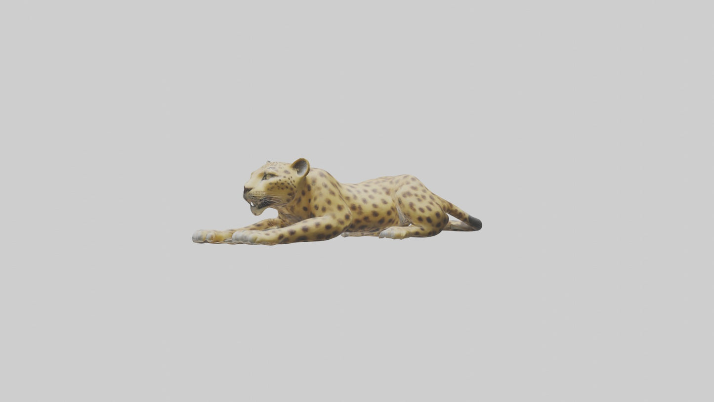 3D model Lying Leopard Model 1 VR / AR / low-poly
