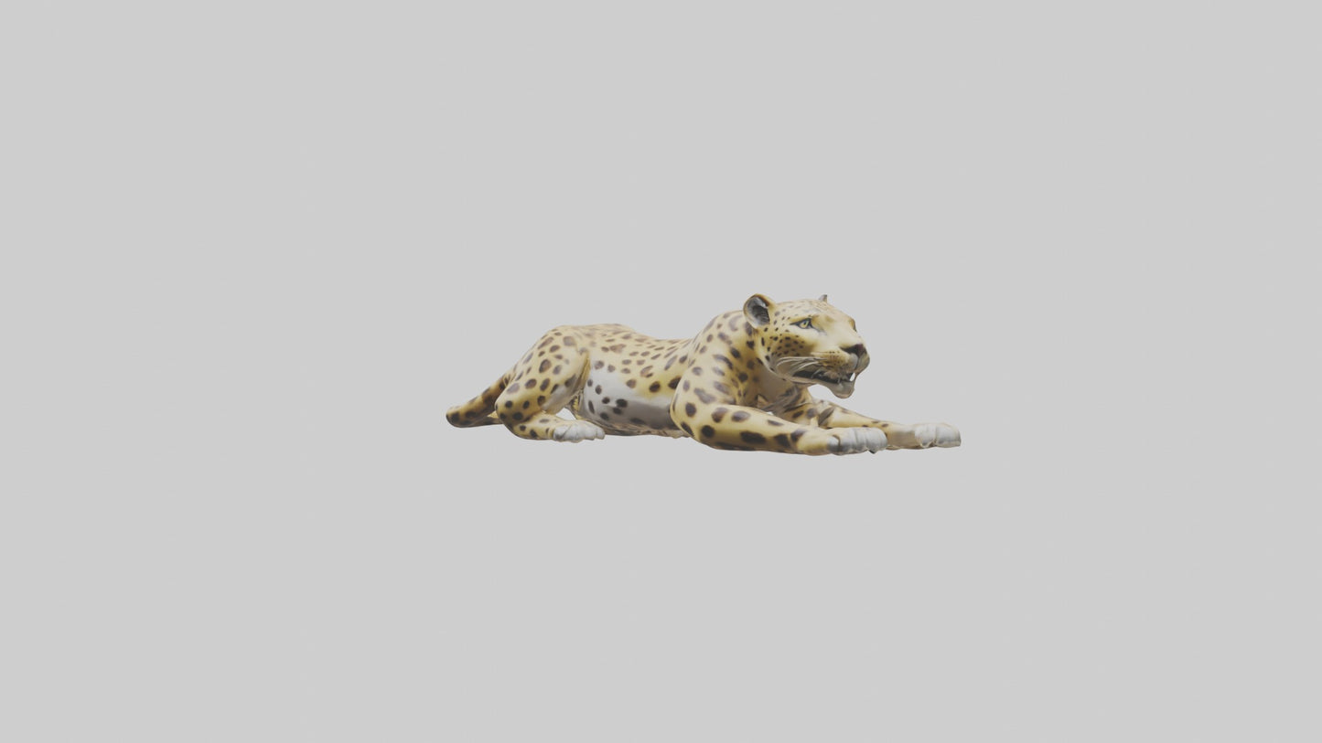 3D model Lying Leopard Model 1 VR / AR / low-poly