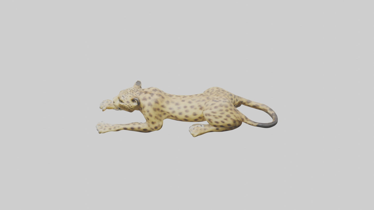 3D model Lying Leopard Model 1 VR / AR / low-poly
