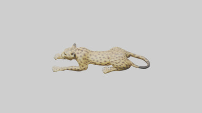 3D model Lying Leopard Model 1 VR / AR / low-poly