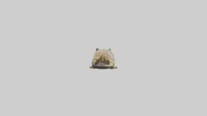 3D model Lying Leopard Model 1 VR / AR / low-poly