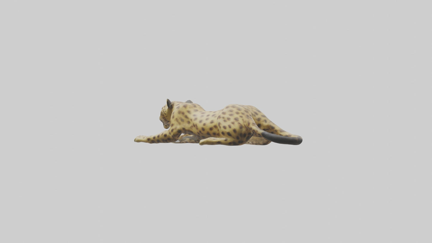 3D model Lying Leopard Model 1 VR / AR / low-poly