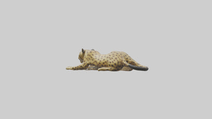 3D model Lying Leopard Model 1 VR / AR / low-poly
