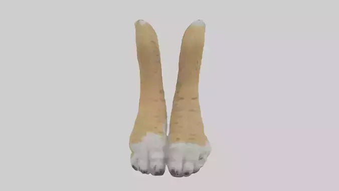 3D model Lynx Paws Model VR / AR / low-poly