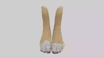 3D model Lynx Paws Model VR / AR / low-poly