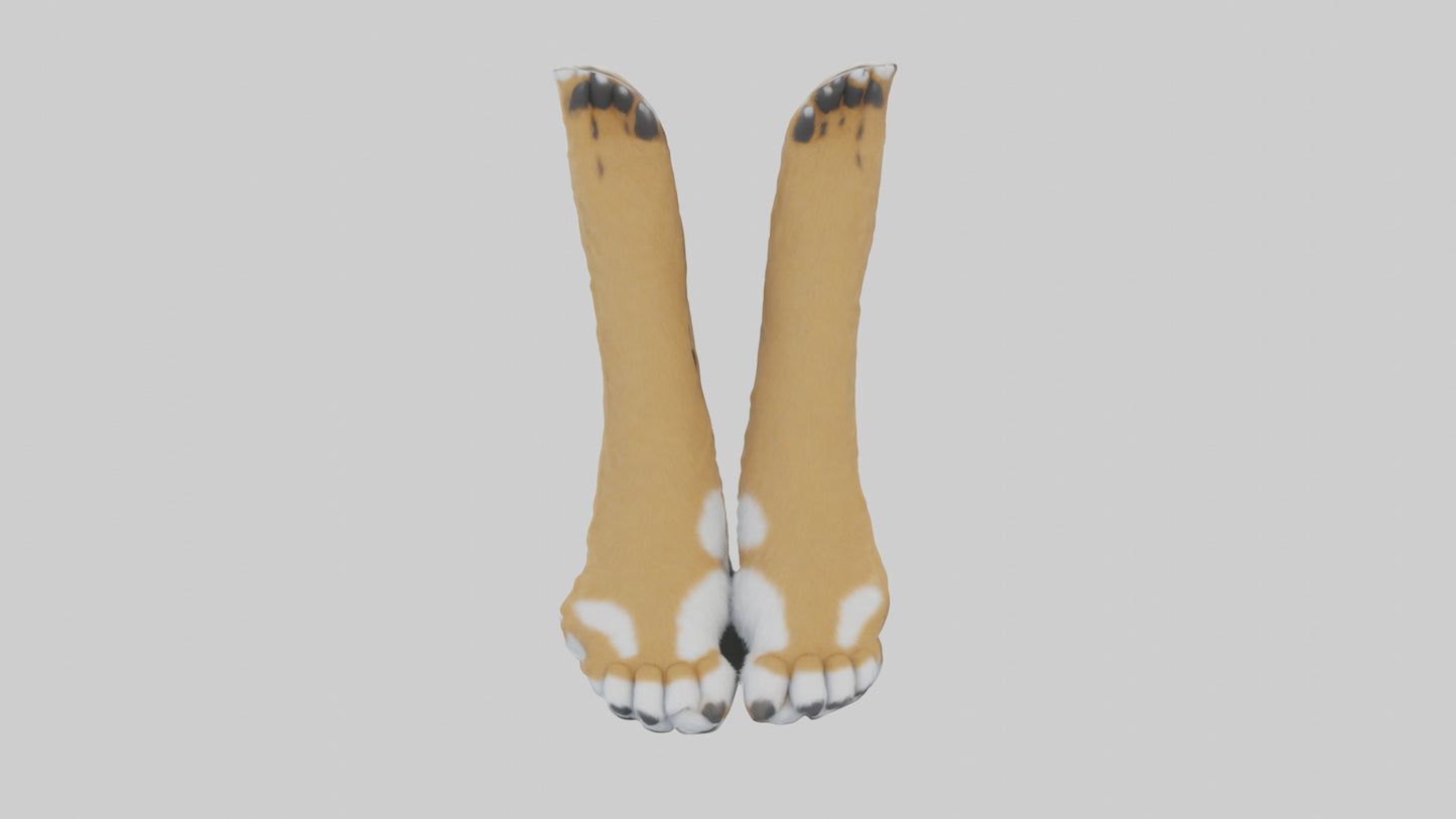 3D model Lynx Paws Model VR / AR / low-poly