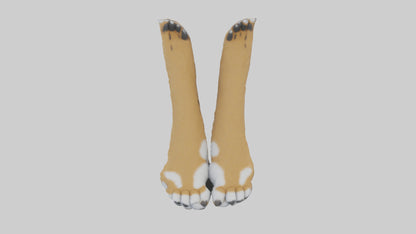 3D model Lynx Paws Model VR / AR / low-poly