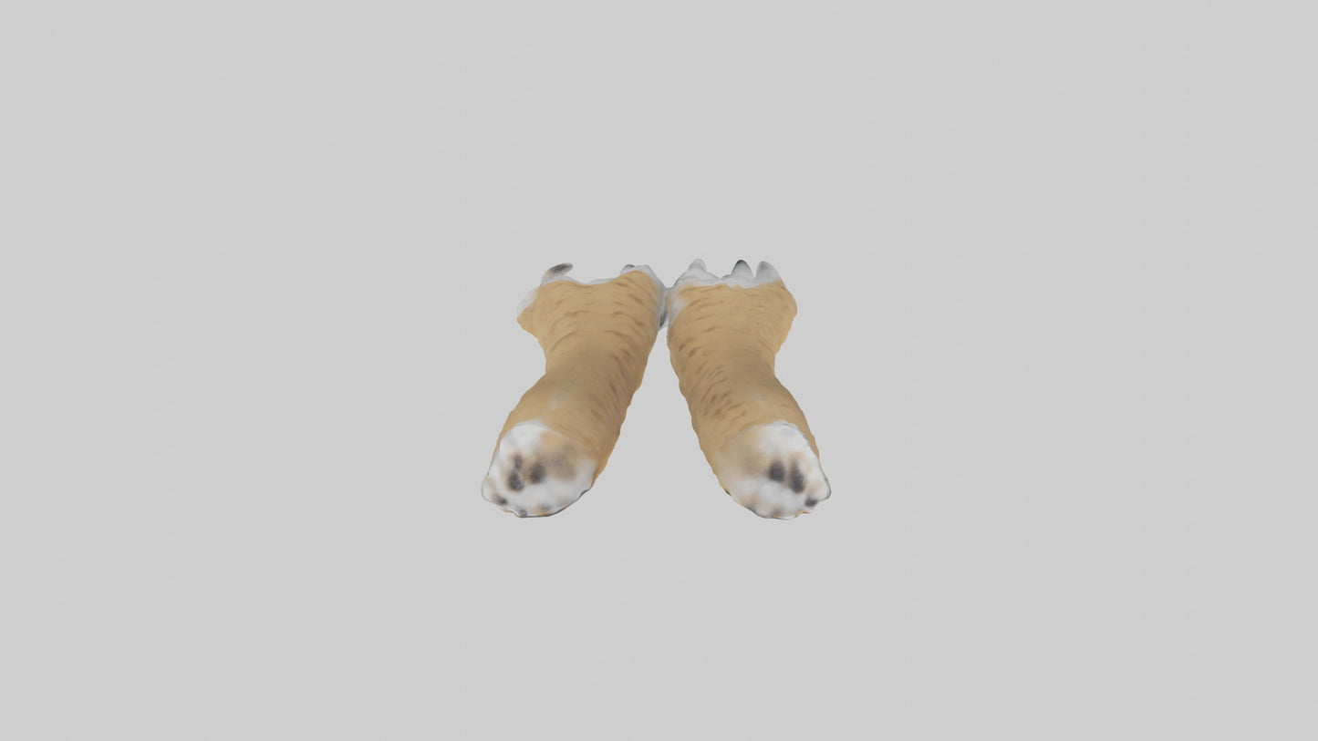 3D model Lynx Paws Model VR / AR / low-poly