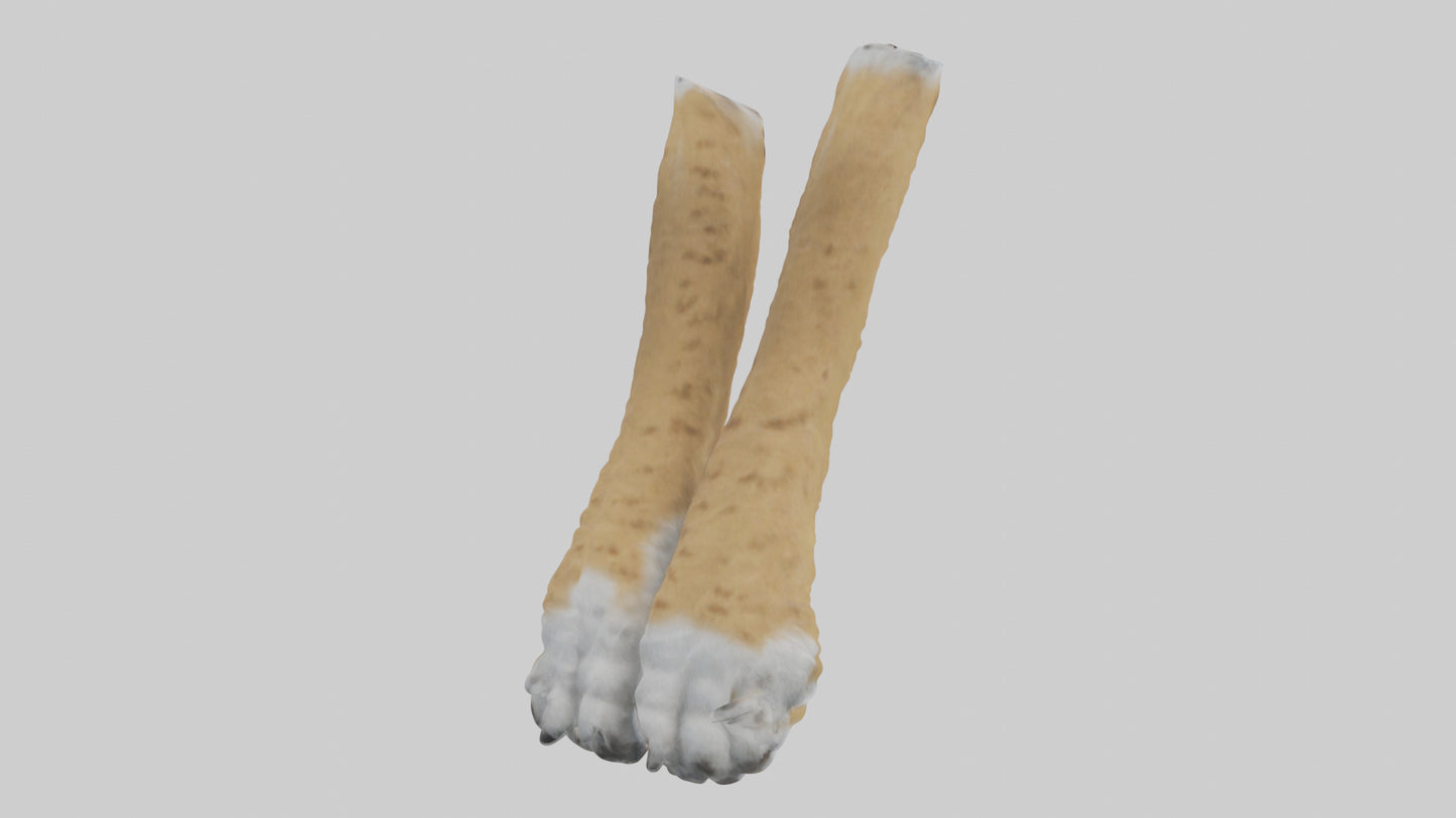 3D model Lynx Paws Model VR / AR / low-poly