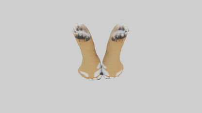 3D model Lynx Paws Model VR / AR / low-poly