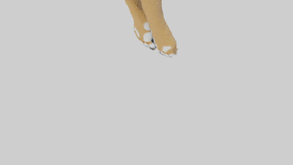 3D model Lynx Paws Model VR / AR / low-poly
