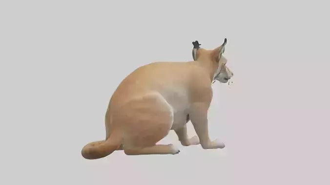 3D model Lynx sitting model VR / AR / low-poly