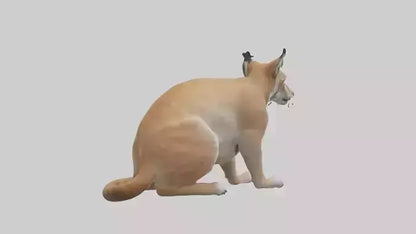 3D model Lynx sitting model VR / AR / low-poly