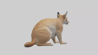 3D model Lynx sitting model VR / AR / low-poly
