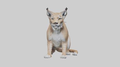 3D model Lynx sitting model VR / AR / low-poly