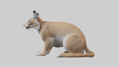 3D model Lynx sitting model VR / AR / low-poly
