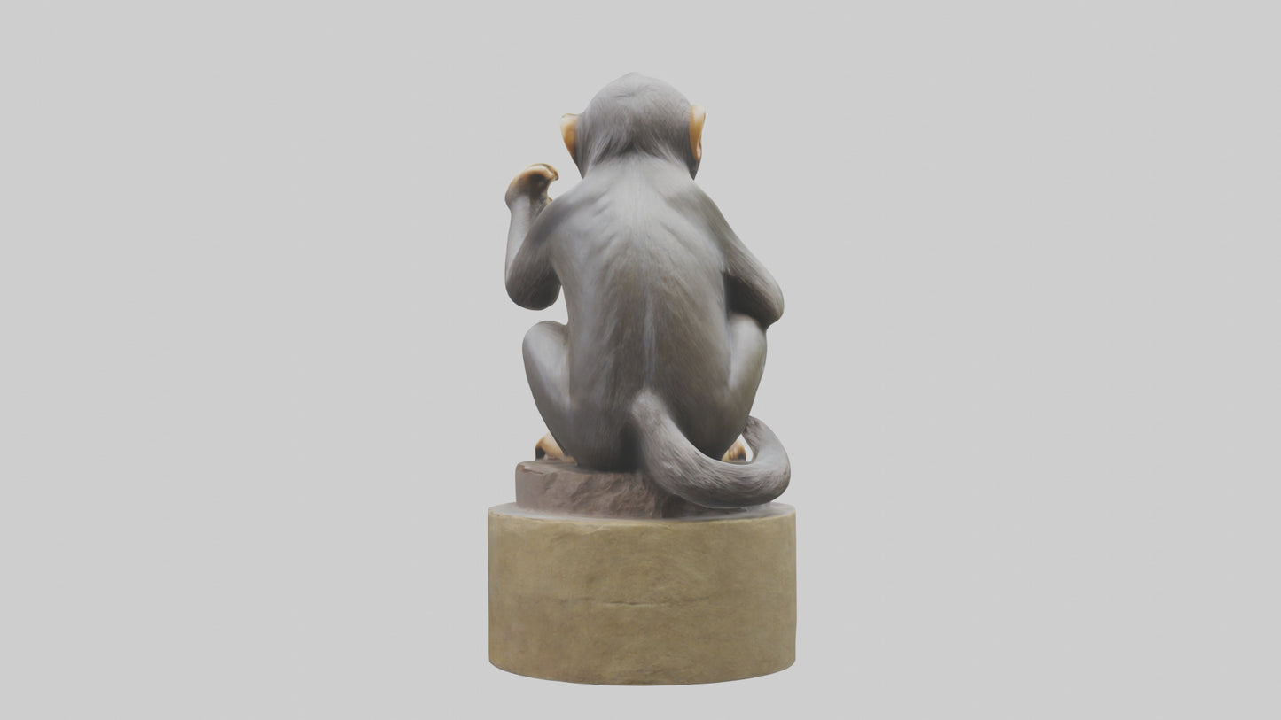 3D model Macaque statue model VR / AR / low-poly