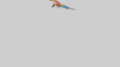 3D model Macaw flying model VR / AR / low-poly