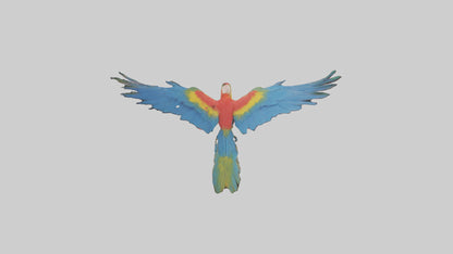 3D model Macaw flying model VR / AR / low-poly