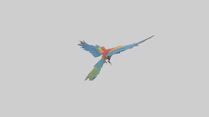 3D model Macaw flying model VR / AR / low-poly