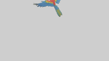 3D model Macaw flying model VR / AR / low-poly