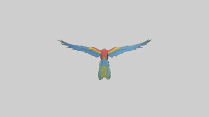 3D model Macaw flying model VR / AR / low-poly
