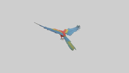 3D model Macaw flying model VR / AR / low-poly
