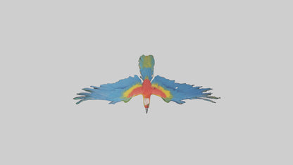 3D model Macaw flying model VR / AR / low-poly