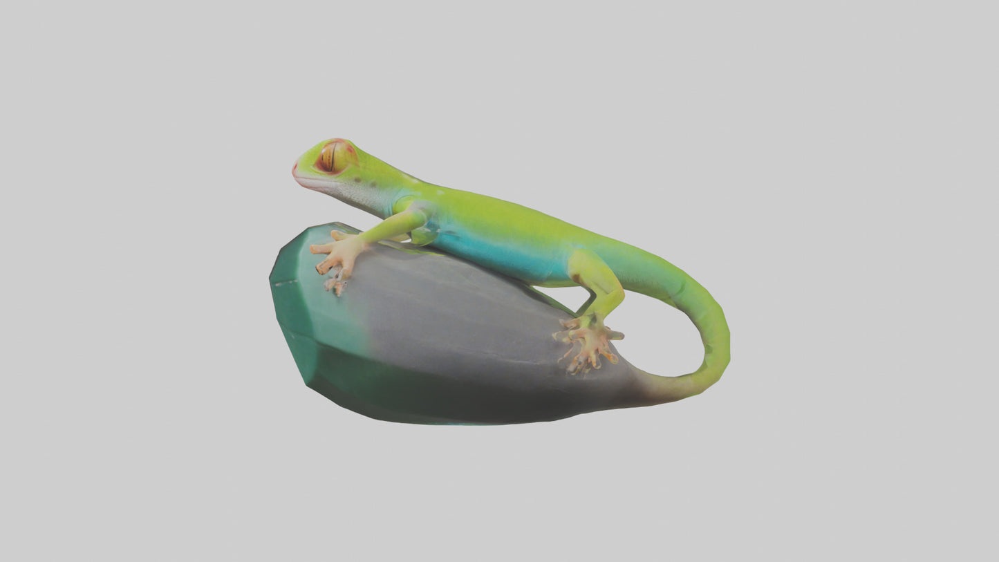 3D model Madagascar Day Gecko basking model VR / AR / low-poly