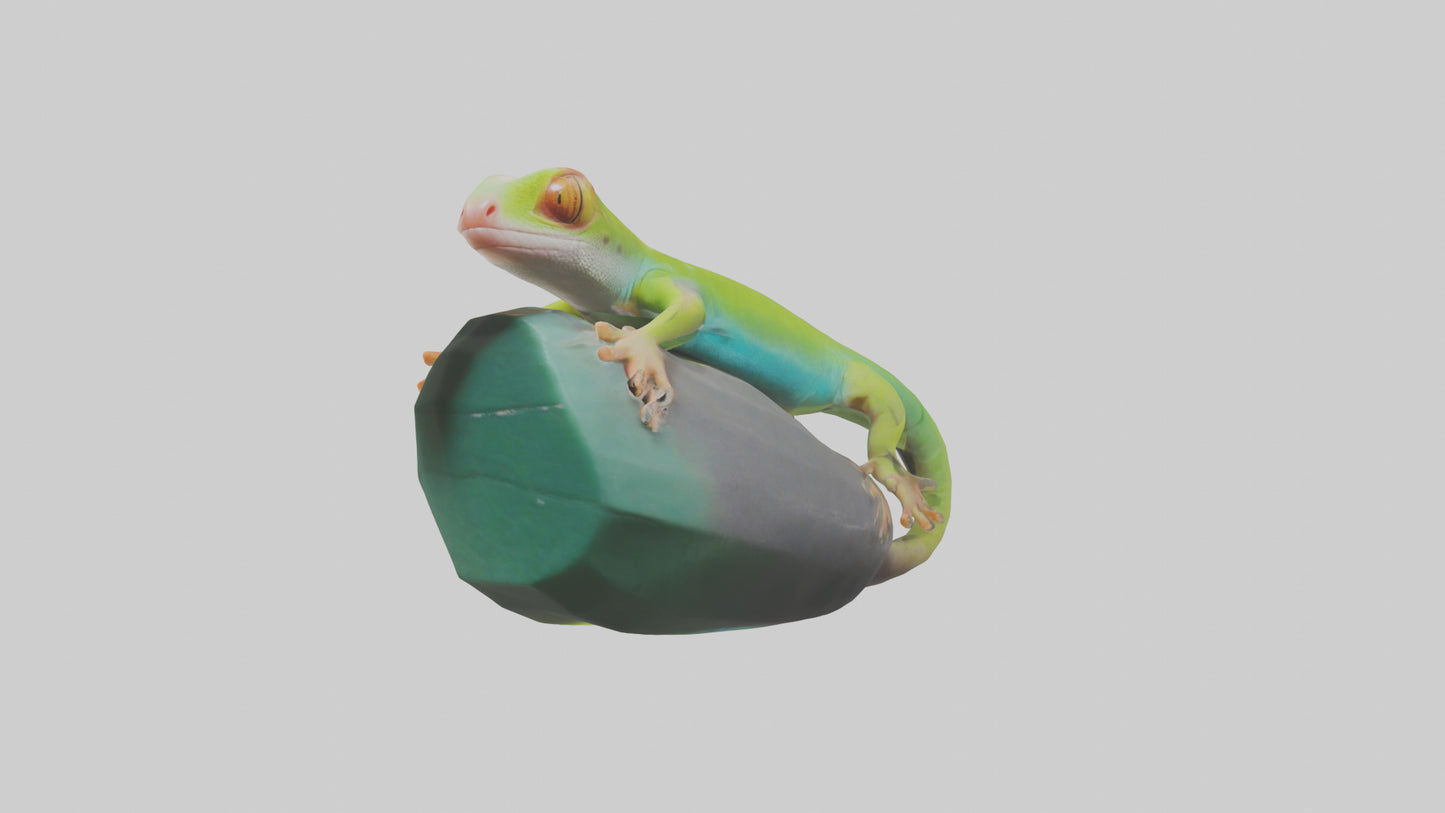 3D model Madagascar Day Gecko basking model VR / AR / low-poly