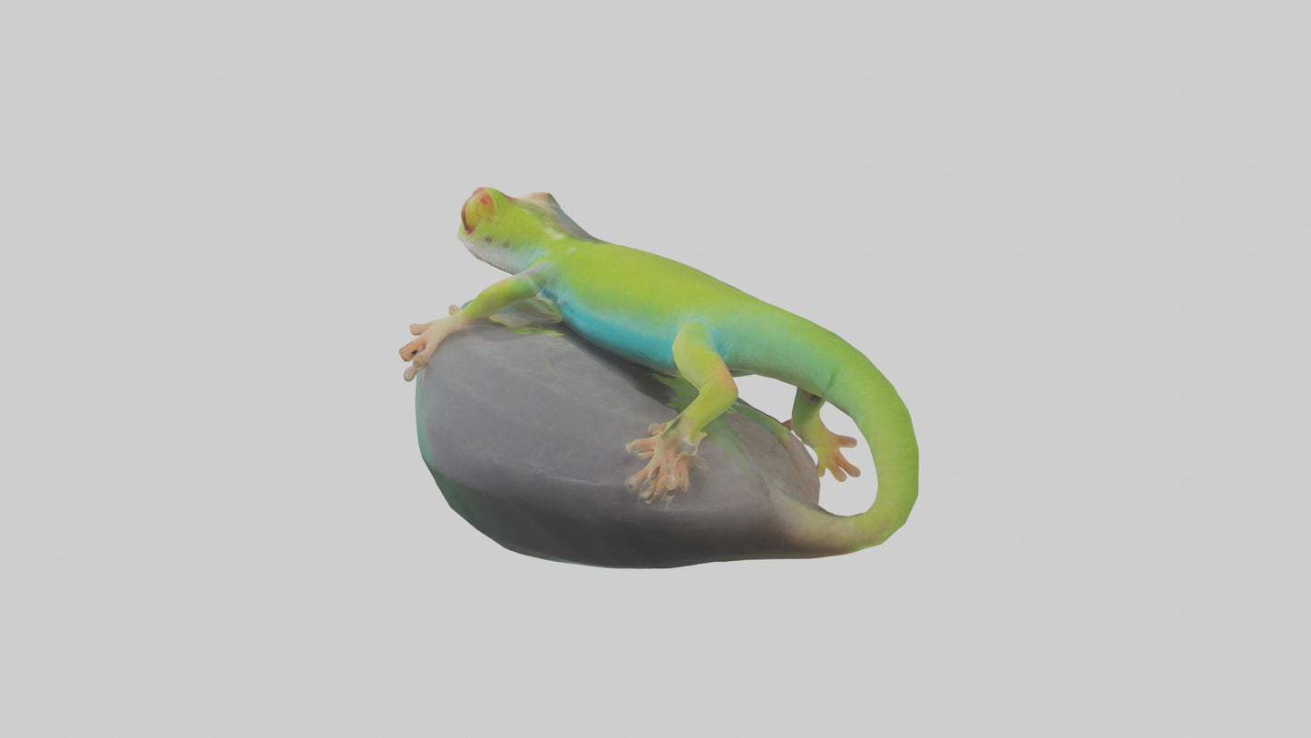 3D model Madagascar Day Gecko basking model VR / AR / low-poly