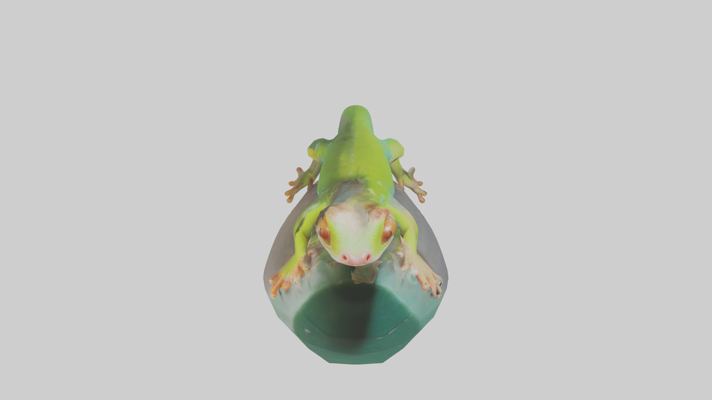 3D model Madagascar Day Gecko basking model VR / AR / low-poly