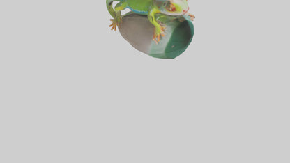 3D model Madagascar Day Gecko basking model VR / AR / low-poly