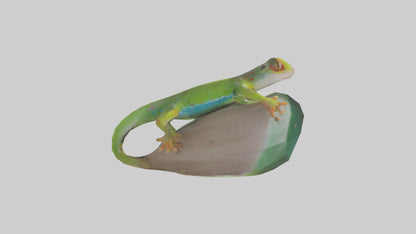 3D model Madagascar Day Gecko basking model VR / AR / low-poly