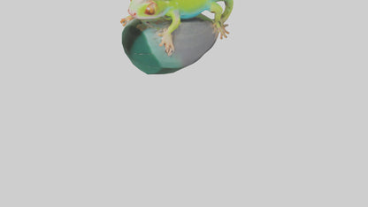 3D model Madagascar Day Gecko basking model VR / AR / low-poly