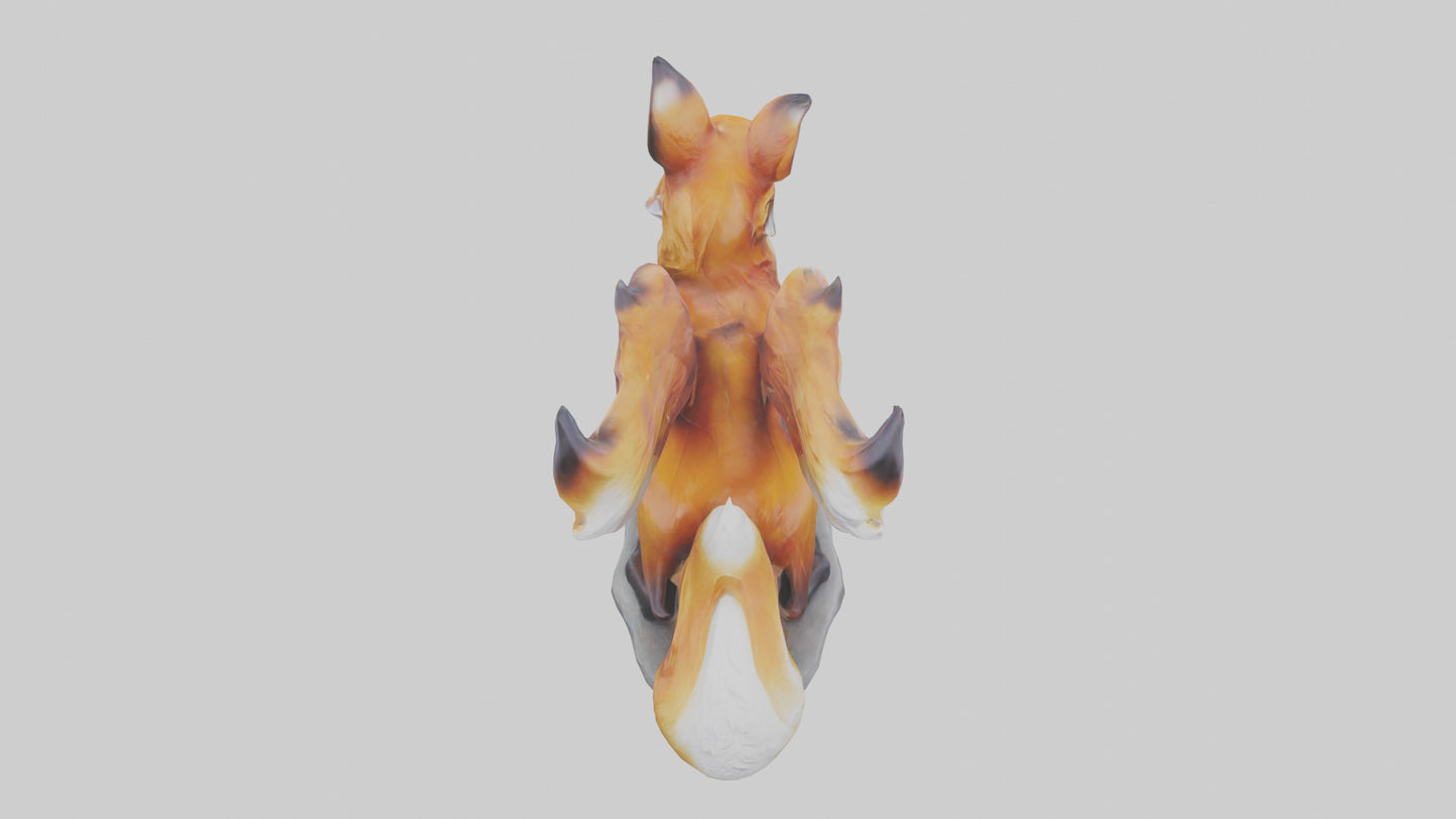 Magic Fox statue model VR / AR / low-poly