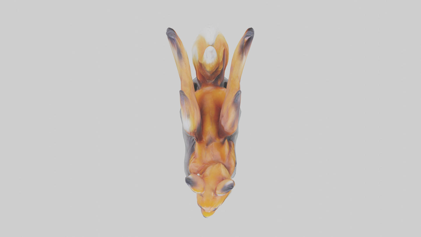 Magic Fox statue model VR / AR / low-poly