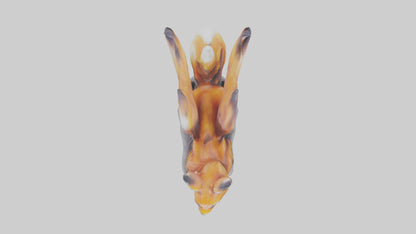 Magic Fox statue model VR / AR / low-poly