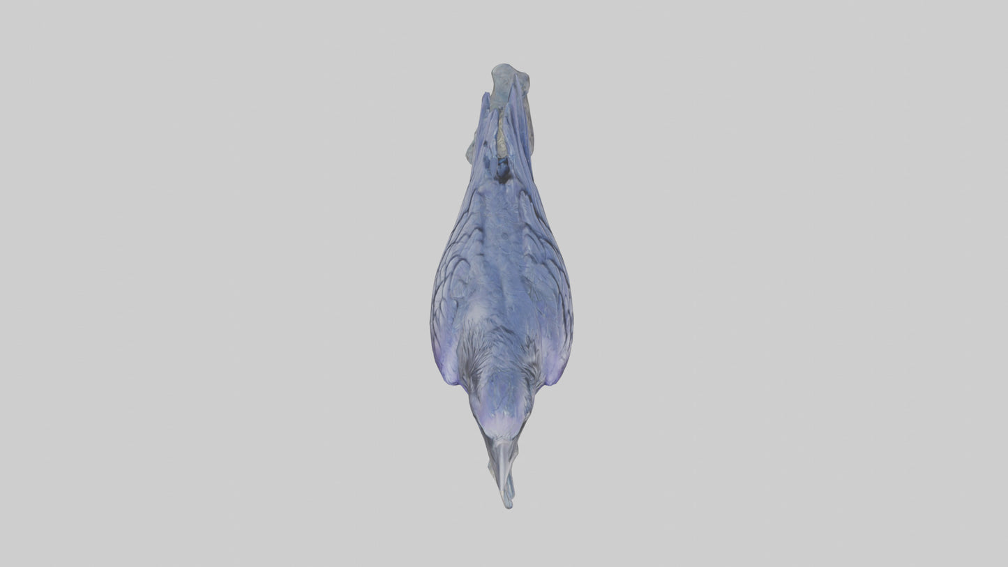 Magic Raven statue model VR / AR / low-poly