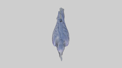 Magic Raven statue model VR / AR / low-poly