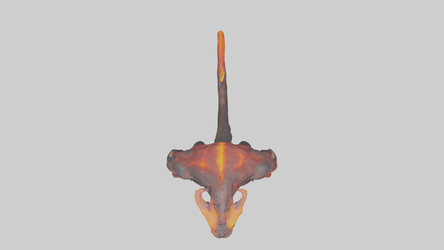 3D model Magma Demon model VR / AR / low-poly