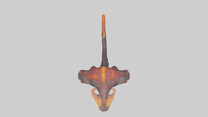 3D model Magma Demon model VR / AR / low-poly