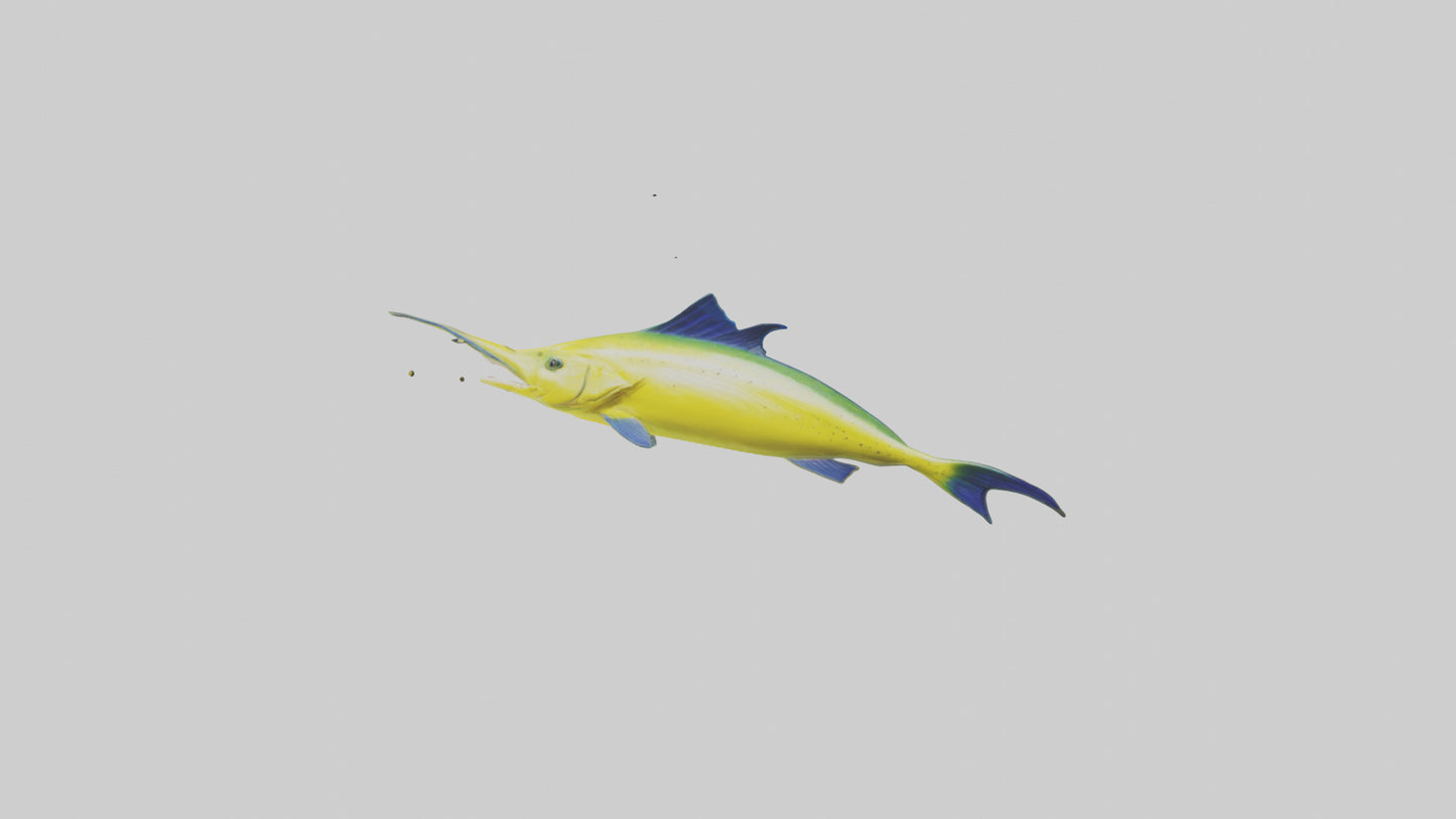 3D model MahiMahi leaping model VR / AR / low-poly