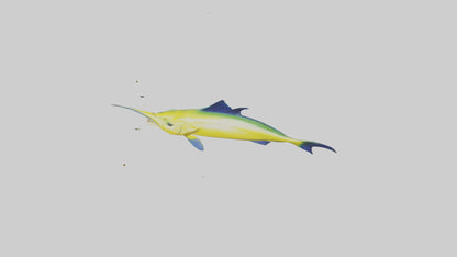 3D model MahiMahi leaping model VR / AR / low-poly