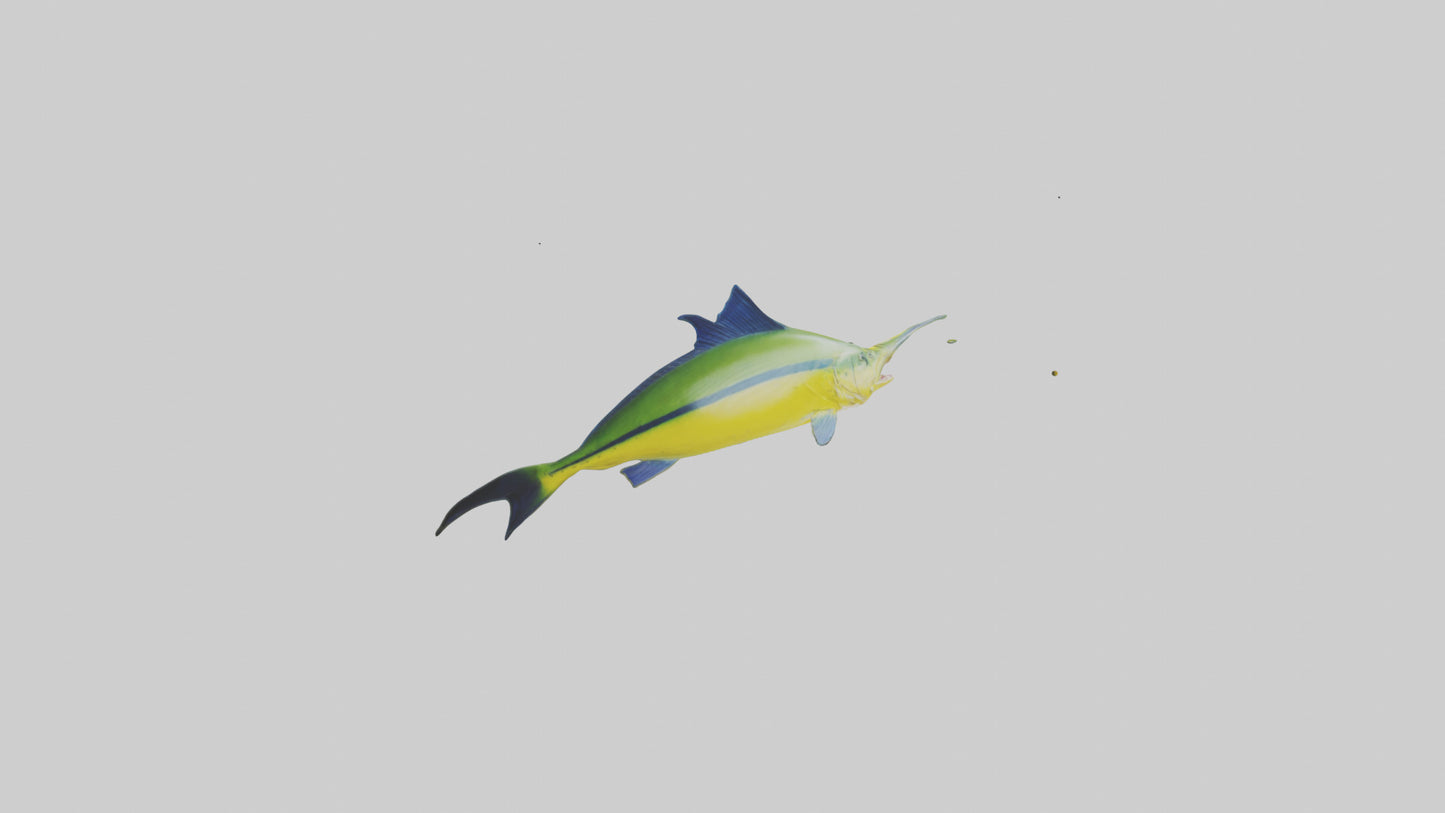 3D model MahiMahi leaping model VR / AR / low-poly