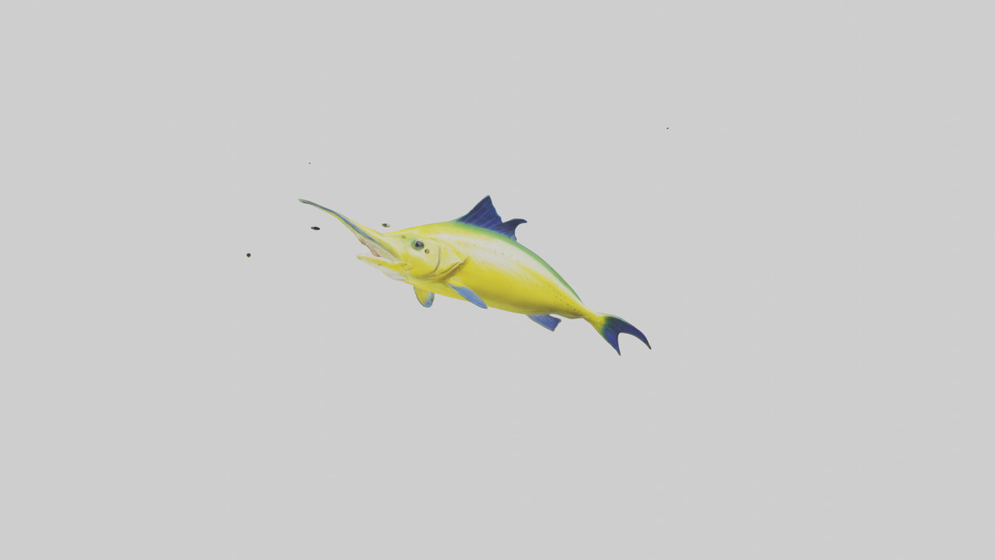 3D model MahiMahi leaping model VR / AR / low-poly