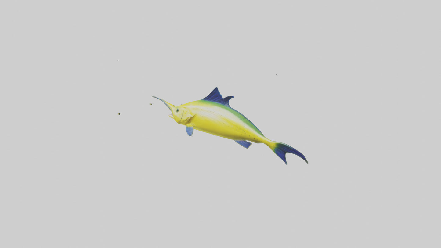 3D model MahiMahi leaping model VR / AR / low-poly